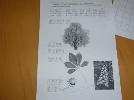 P1000280